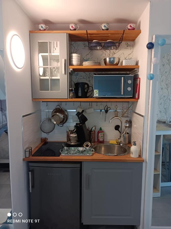 מונטרז'י Tres Beau Studio Climatisation, Trois Etoiles, Parking A Velo, Velos En Option, Parking Prive Jardin מראה חיצוני תמונה
